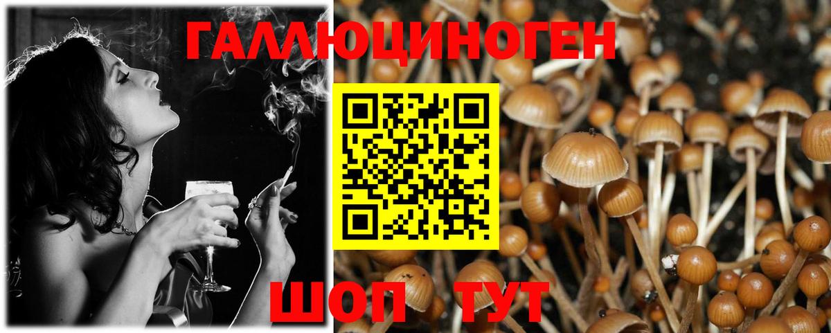 Галлюциногенные грибы Magic Shrooms  где купить наркоту  Вход с VPN  Троицк  Псилоцибиновые грибы мухоморы 